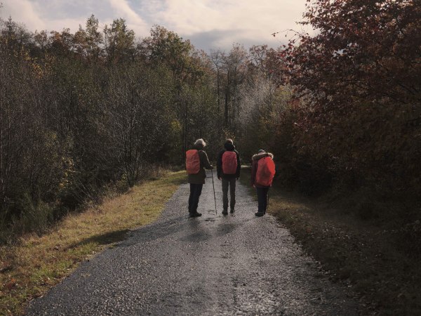 025 - Klik-klak Zaventem - Jonas Willebrords - Herfstwandeling